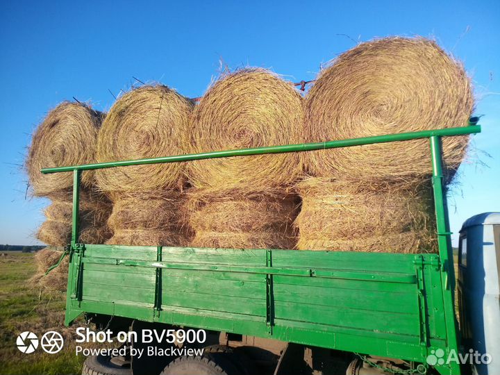 Продам сено в рулонах