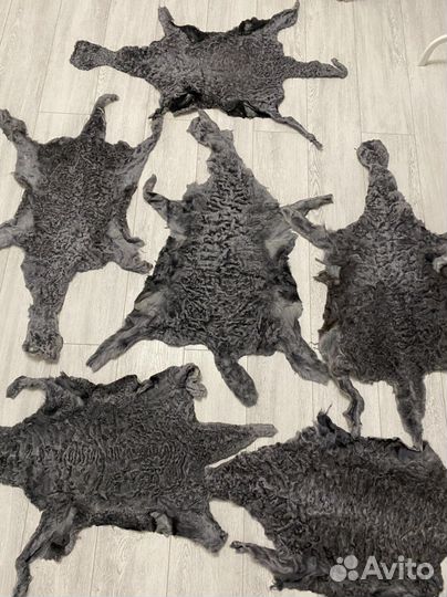 Шкура каракуль, каракульча