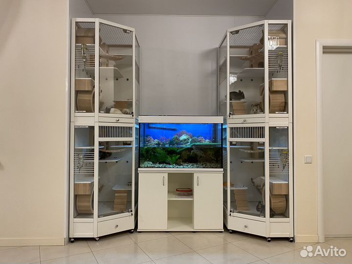 Витрина для шиншилл, дегу «Восход»