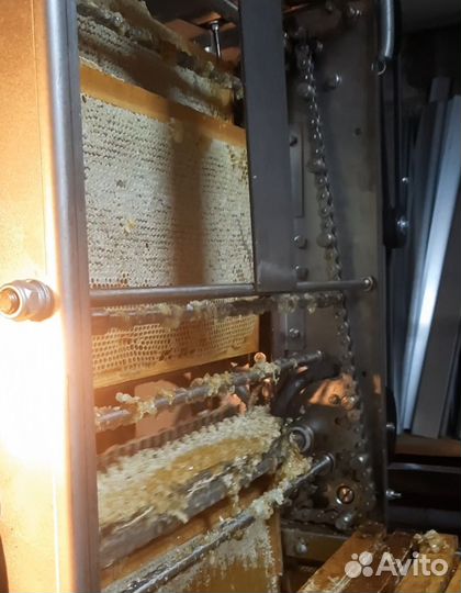 Продам донниковый мёд опт