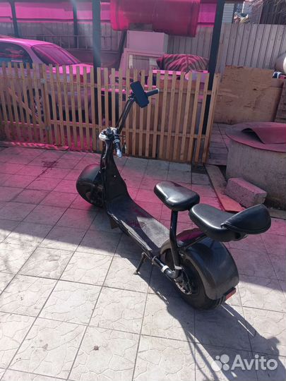 Harley City Coco - 2019 год