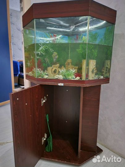 Аквариум со всеми принадлежностями