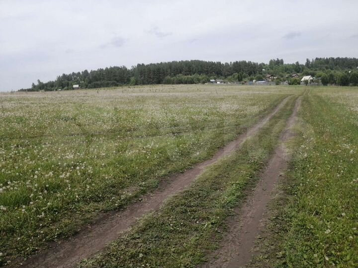 Участок 4,9 га (СНТ, ДНП)