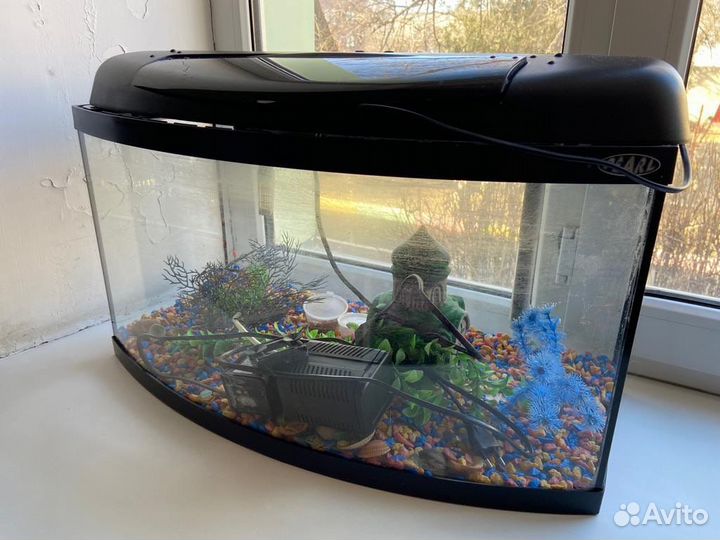 Аквариум