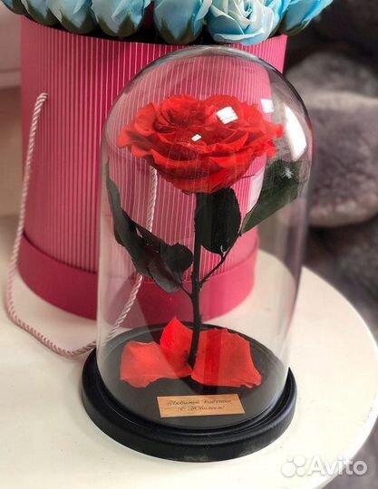 Розы в колбе