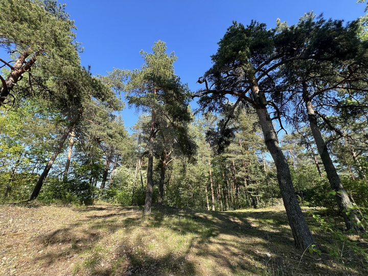 Участок 30 сот. (ИЖС)