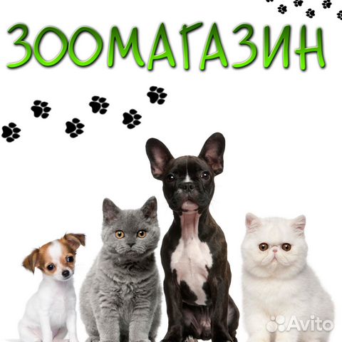 Продавец в зоомагазин