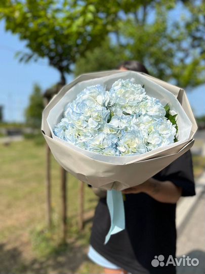 Голубая гортензия, букет из гортензий