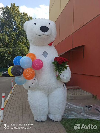 Поздравление медведя с днём рождения