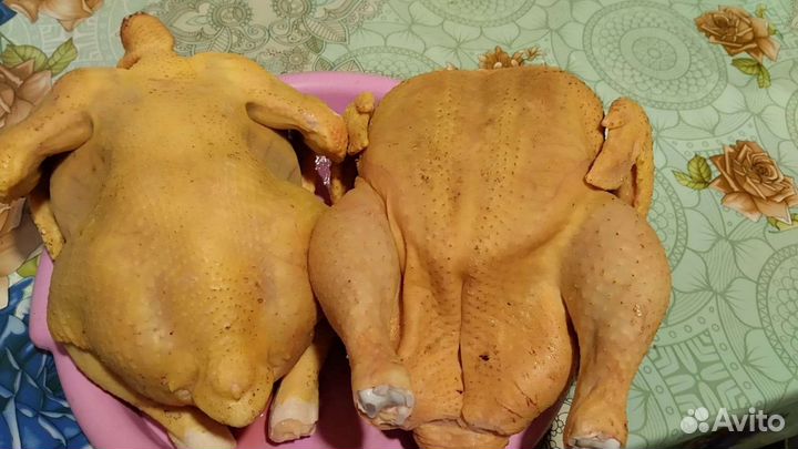 Куры мясо