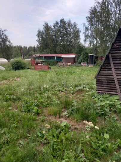 Участок 12 сот. (СНТ, ДНП)