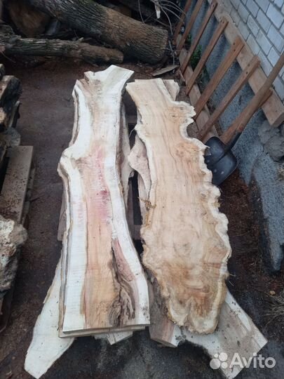 Слэб из карагача