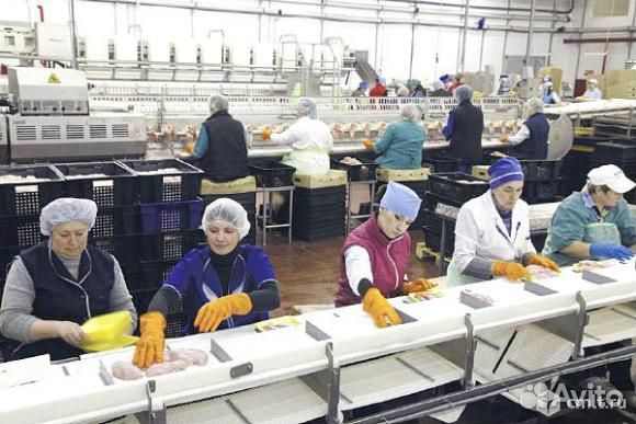 Упаковщик (вахта)