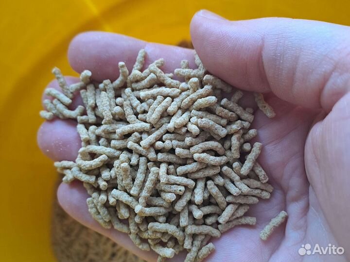 Корм для цихлид рыб Sera cichlids sticks