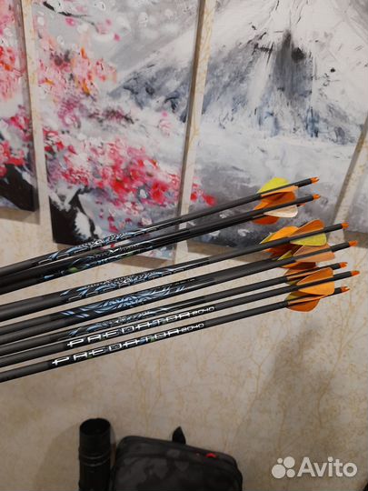 Лук Bowmaster Elegance 40и30 и много оборудования