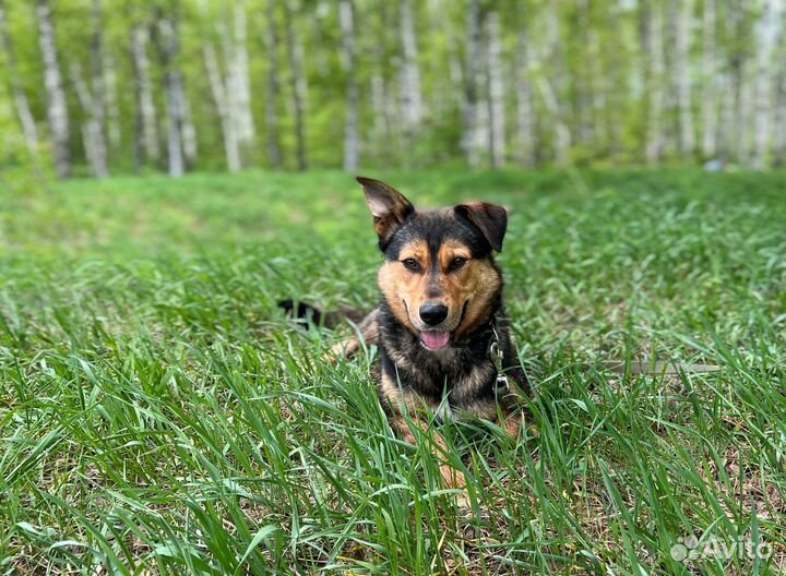 Восхитительная Лия из приюта в поисках семьи