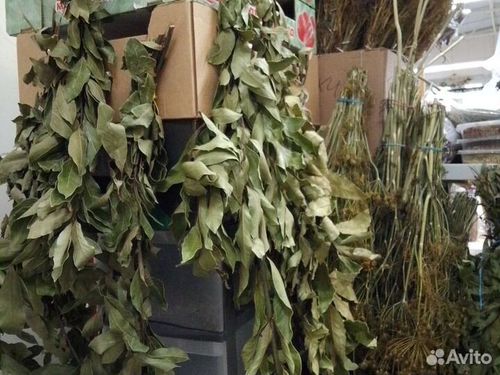 Укропа пучки зонтики семена