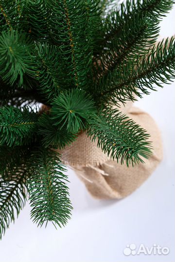 Елка искусственная Бергамо литая