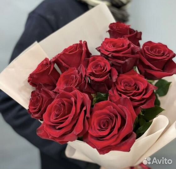 Роза красная эквадор