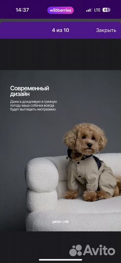 Комбинезон доя собаки