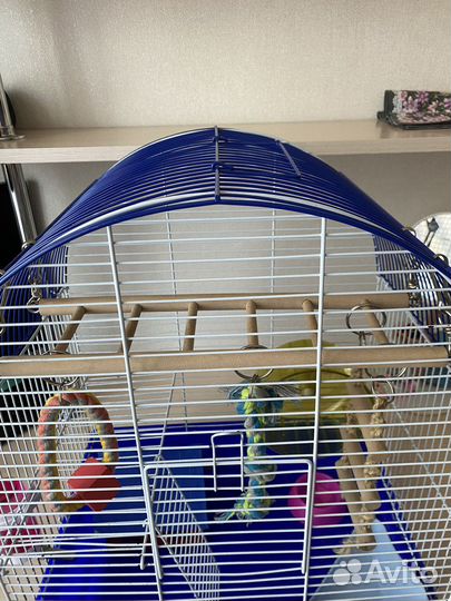 Клетка для грызунов