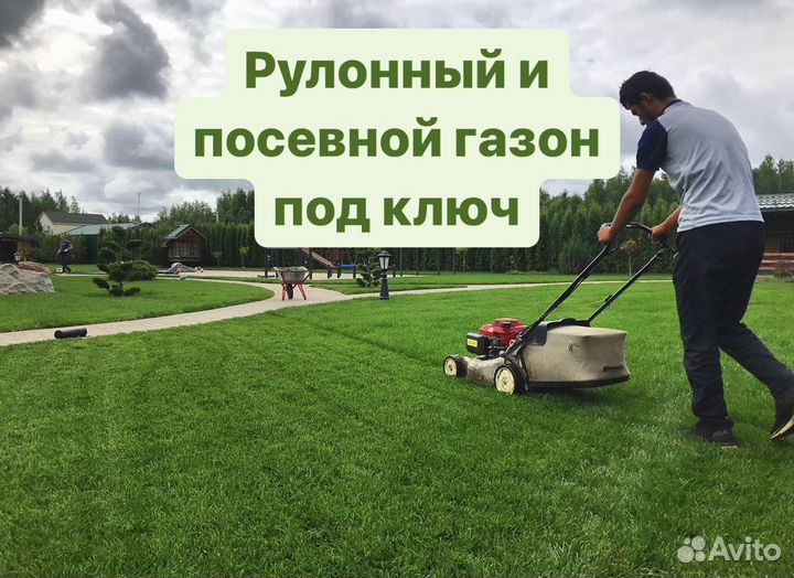 Рулонный газон в Туле