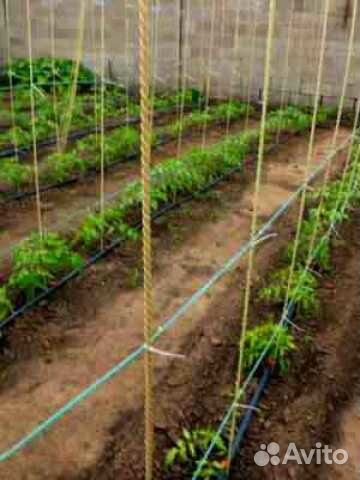 Опоры для растений из стеклопластика