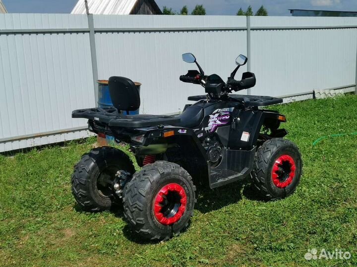 Avantis hunter 200 big lux