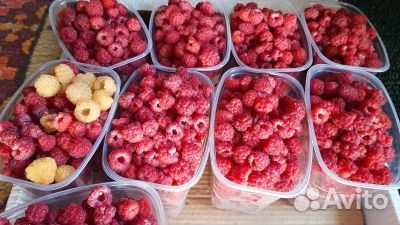 Малина свежая, своя, с дачи, ягода малина