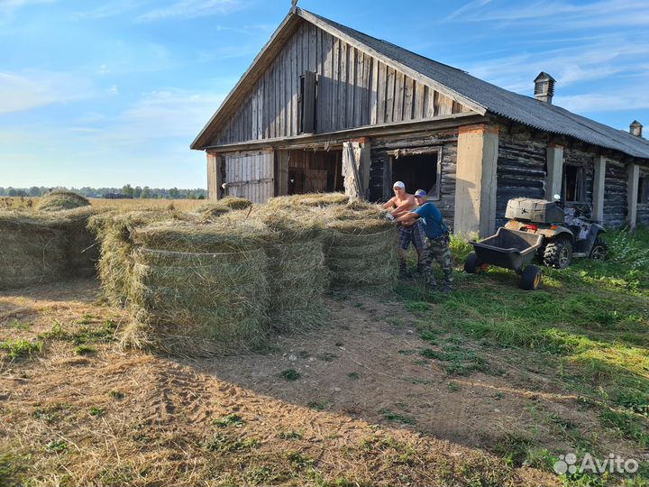 Сено в рулонах