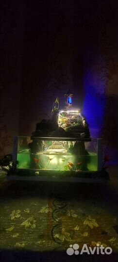 Аквариум
