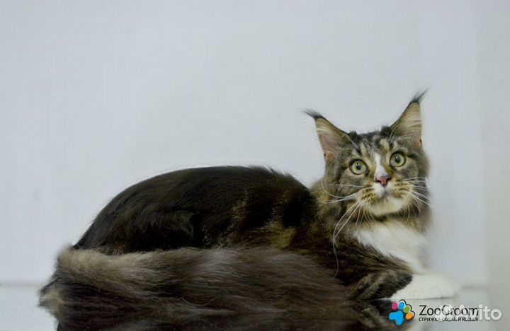 Открыт набор на курсы