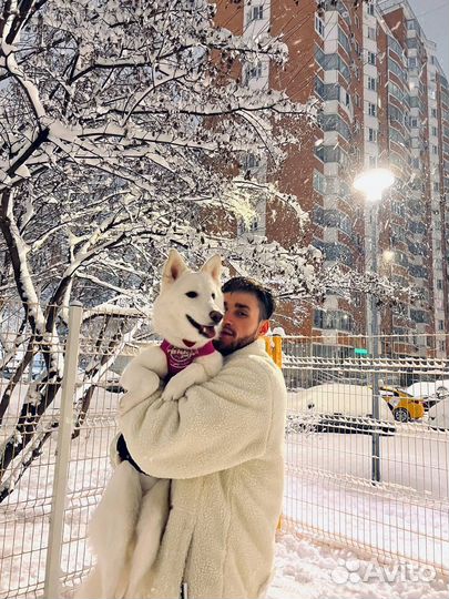 Картина на заказ по фото