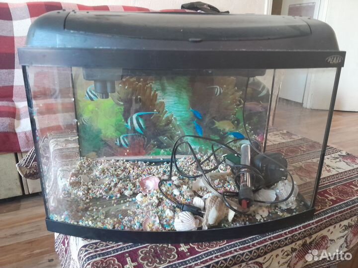 Аквариум