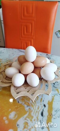 Домашние куриные яйца