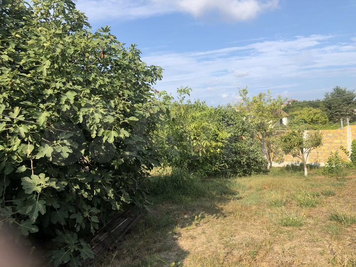 Дом 50 м² на участке 15 сот.