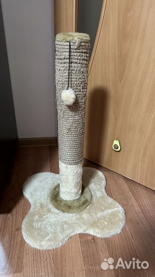Когтеточка для кошек