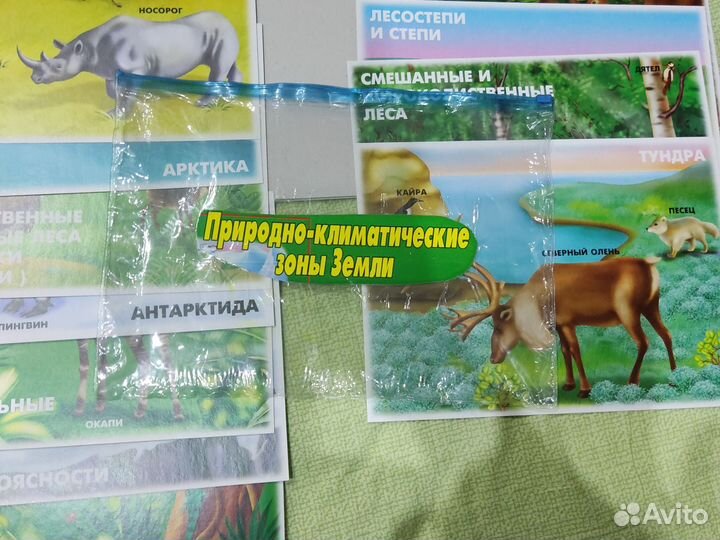 Природно-климатические зоны Земли