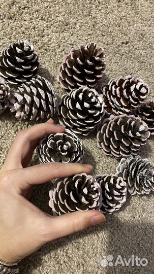 Набор для творчества шишка пидцунской сосны