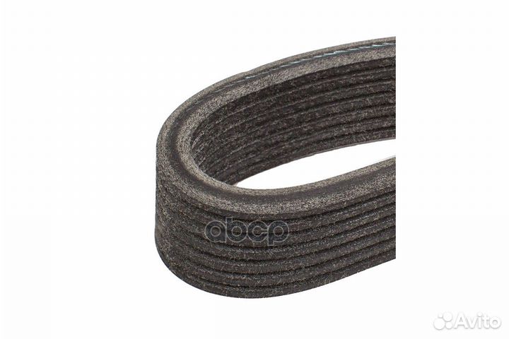 Ремни (легковые) M6310421 marshall