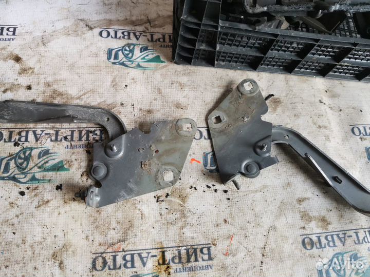 Петля капота Renault Megane III (2008—2014)