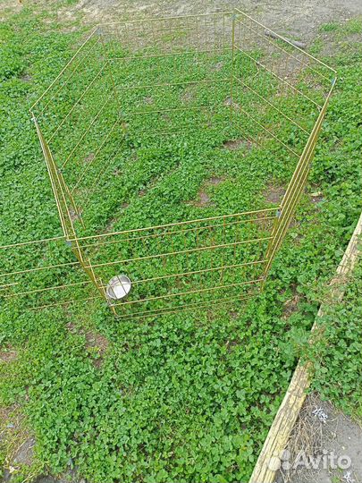 Кролик Баффи девочка 8 месяцев