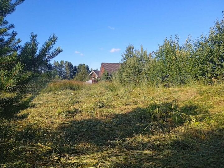 Участок 14,7 сот. (СНТ, ДНП)