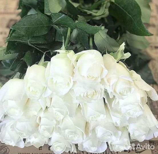 Высокие розы Букеты с доставкой