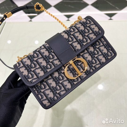Сумка Christian Dior 30 Montage Oblique
