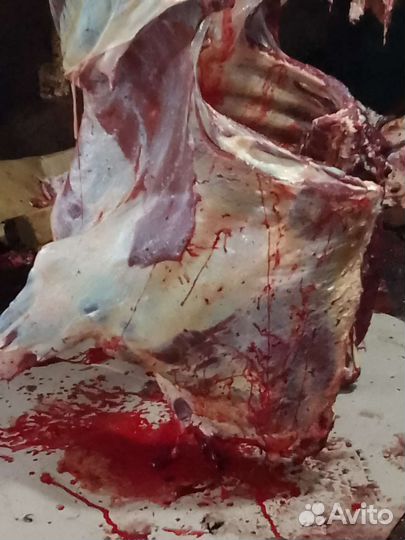 Мясо. Рубец, требуха