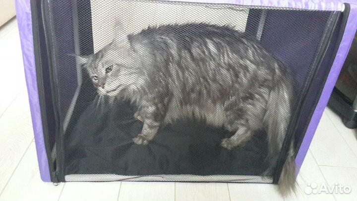 Палатка для кота