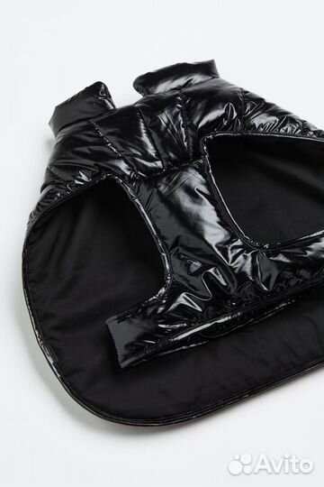 Одежда для маленьких собак