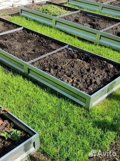 Семена газонной травы универсальные