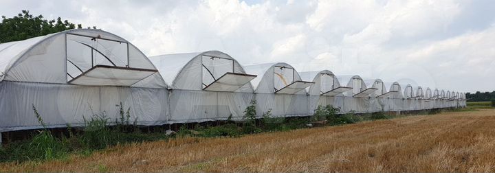 Участок 53 сот. (СНТ, ДНП)